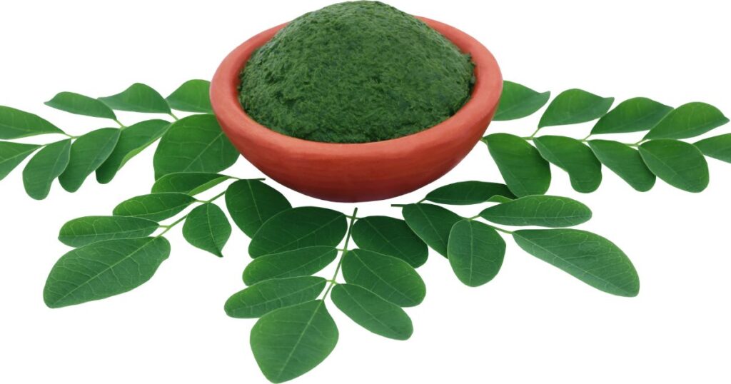 Moringa Leaves 3